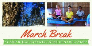 March Break Camp Ecowellness Centre