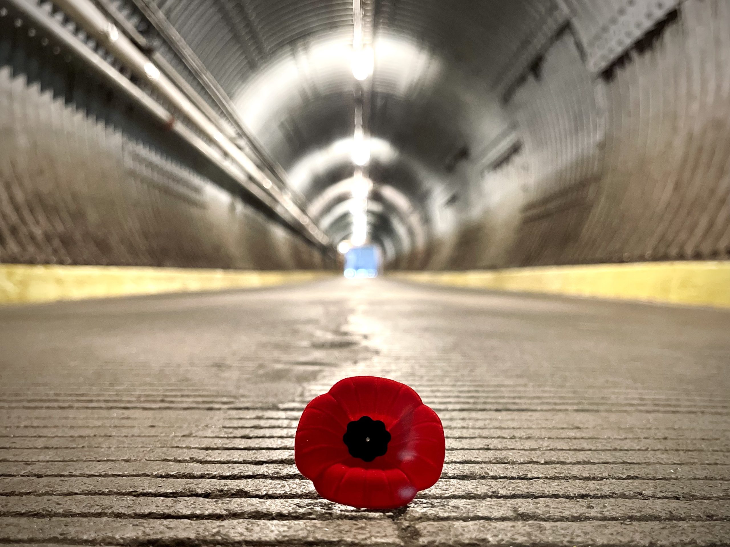 Poppy resting on the ground in the Diefenbunker's Blast Tunnel.