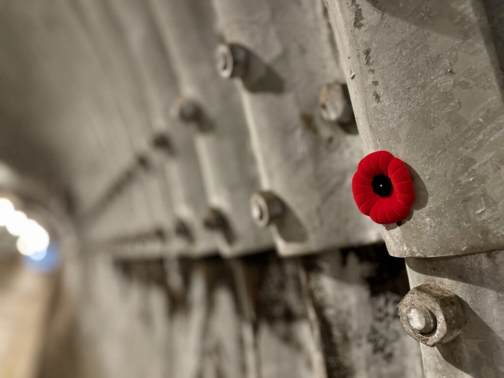 A red poppy placed on a weathered war memorial wall.