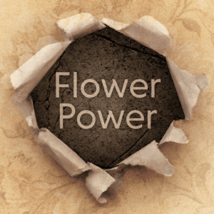 Yellowing paper with flower-petal-shaped rips in the middle, revealing dirt and concrete underneath and the text "Flower Power".